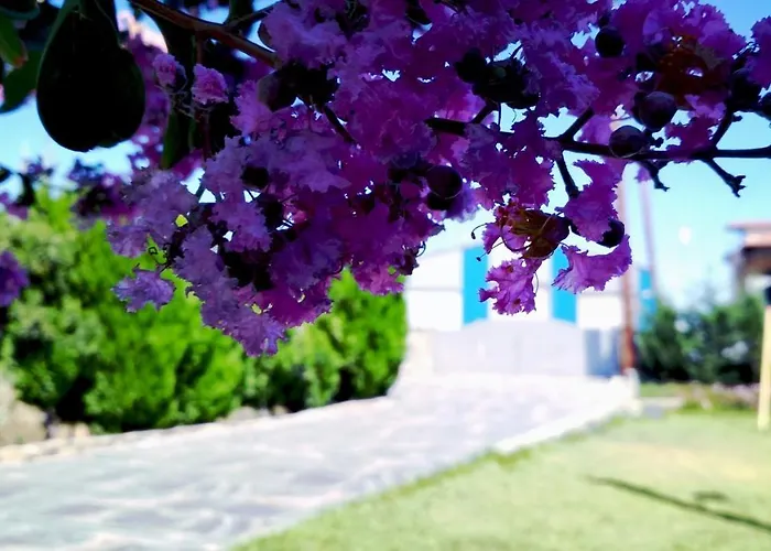 Apartament Zephyros Resort 1