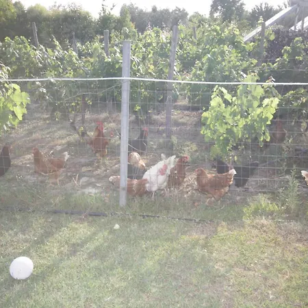 Appartamento Zephyros 1 Ormos Panagias